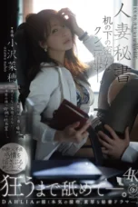 DLDSS-518