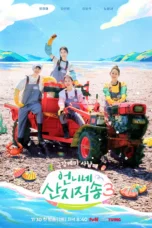 Fresh off the Sea Season 3